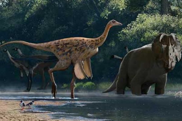Read more: Carleton-led Research Group Discovers New Ostrich-Like Dinosaur from Alberta