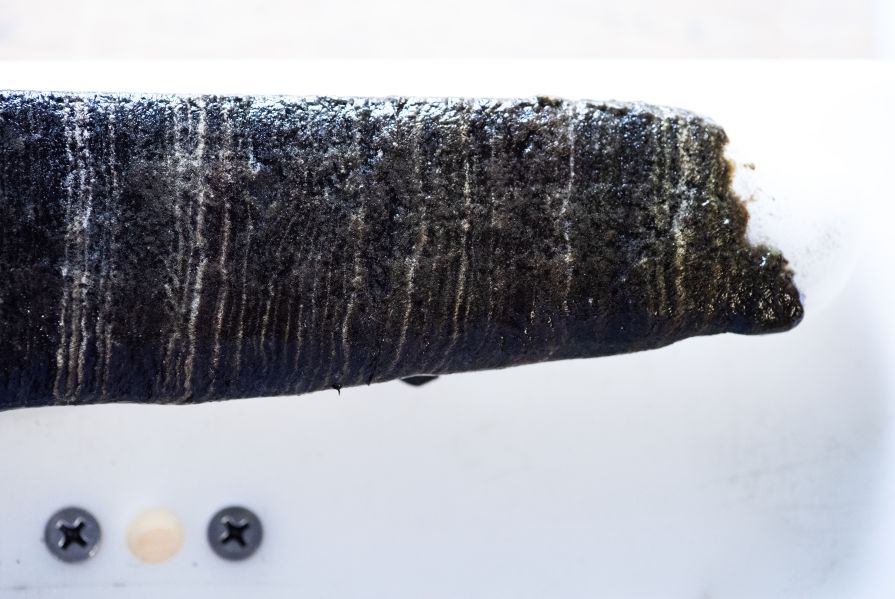 A sediment frozen core sample.