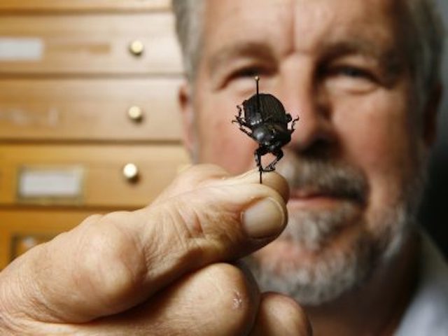 man in the background holding a bug in the foreground